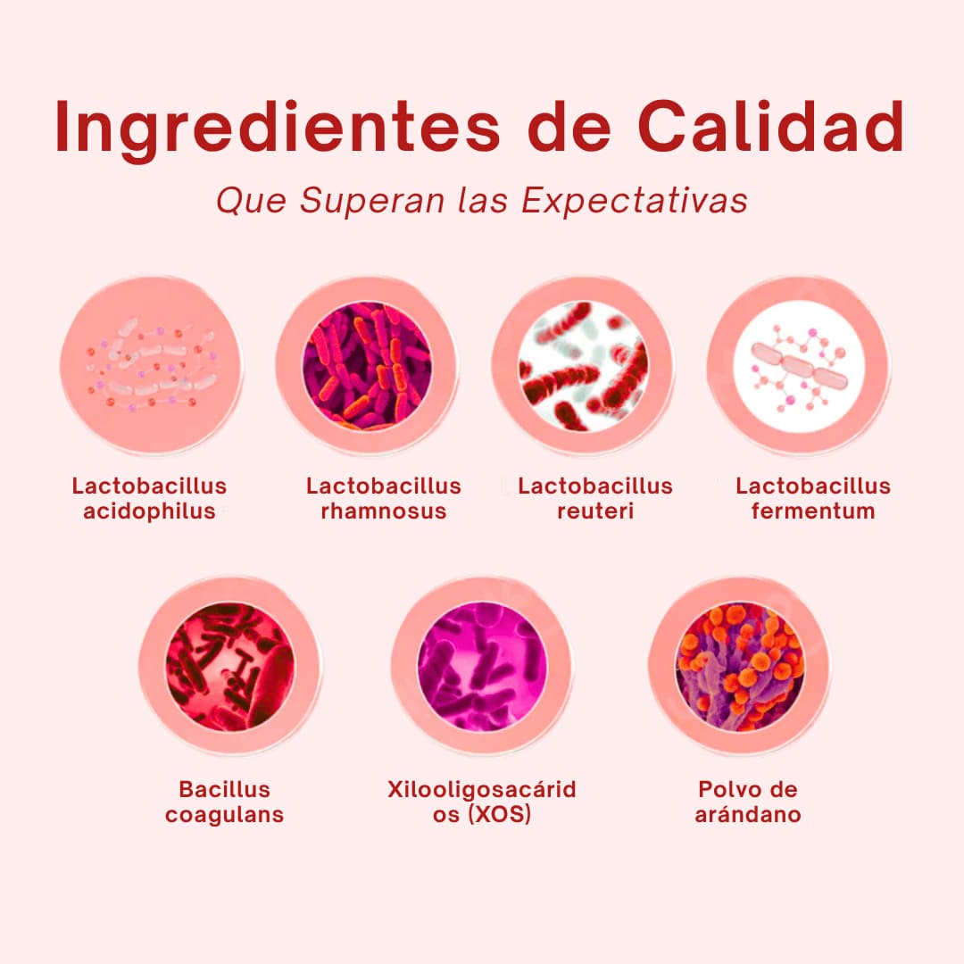 Probiótico Vaginal Quit Mood ‒ 60 cáps.